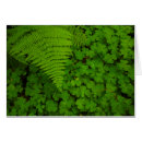 Recherche de humboldt cartes postales Forêt