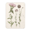 Recherche de presse magnets Floral