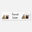 Recherche de furet voiture autocollants Pare chocs