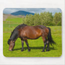 Recherche de chevaux tapis souris Ranch