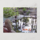 Recherche de chene cartes postales Rivière