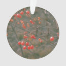 Zoek naar winter berries ornamenten Rood
