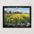 Recherche de 3d cartes postales Floral