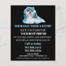 Recherche de toilettage prospectus Promotion