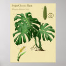Zoek naar botanische illustraties posters Bladeren