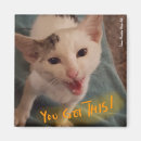 Recherche de chat drôle magnets Enseignant