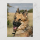 Recherche de deutscher cartes postales Culotte