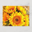 Recherche de tournesol jaune cartes postales Photographie de tournesol