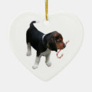 Zoek naar beagle ornamenten Dierenvriend