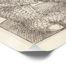 Recherche de dürer posters Rhinocéros