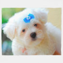 Zoek naar yorkshire dekens Puppy