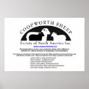 Recherche de sheep posters Moutons