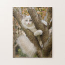 Recherche de chaton siamois puzzles Amoureux des chats