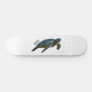 Zoek naar schildpad skateboards Zee