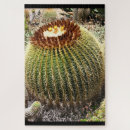 Recherche de cactus puzzles Desert