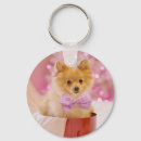 Recherche de chien rose photographie Mignon