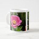 Recherche de zinnias tasses Jolie