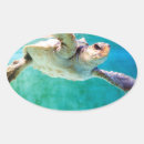 Recherche de photographie sous marine autocollants Mer