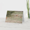 Recherche de oiseau rouge vœux cartes Cardinaux