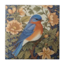 Recherche de oiseaux carreaux Amoureux des oiseaux