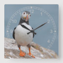 Recherche de arctica posters Pingouin