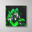 Zoek naar orchis posters Botanisch