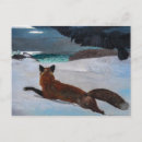 Recherche de chasse neige cartes postales Renard