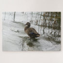 Recherche de canard puzzles Lac
