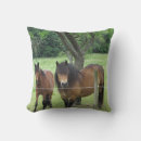 Recherche de beaux chevaux coussins Sauvage