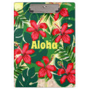Recherche de surf porte blocs Hawaii