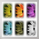 Recherche de multi région art Plante