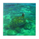 Recherche de vert de mer carreaux Hawaï
