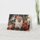 Recherche de spitz noël cartes Animal