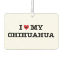 Recherche de chihuahua Pour animaux