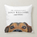 Recherche de chien Chien drôle