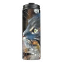 Recherche de chat abstrait tasses Chaton