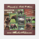 Recherche de ours gris magnets Nature
