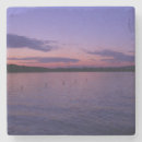 Zoek naar duinen onderzetters Michigan