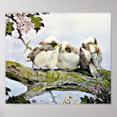 Recherche de mésange Anniversaire
