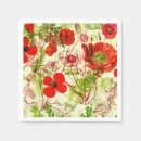 Recherche de pavot de vent Fleur