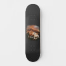 Zoek naar paard skateboards Wild