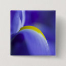 Recherche de iris bleu badges Floral