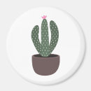 Recherche de pot fleur magnets Plante du désert