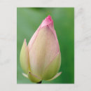 Recherche de durban cartes postales Jour