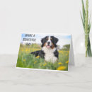 Recherche de anniversaire suisse cartes invitations Photographie