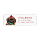 Zoek naar pekinees posters Puppy