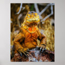Recherche de iguane art Lézard