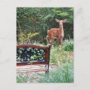 Recherche de faon cartes postales Faon de cerf