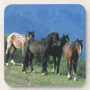 Zoek naar paarden onderzetters Mustang