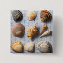 Recherche de coquillages badges Mer